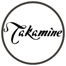 Takamine Acoustic Guitar
