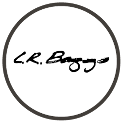 LR Baggs