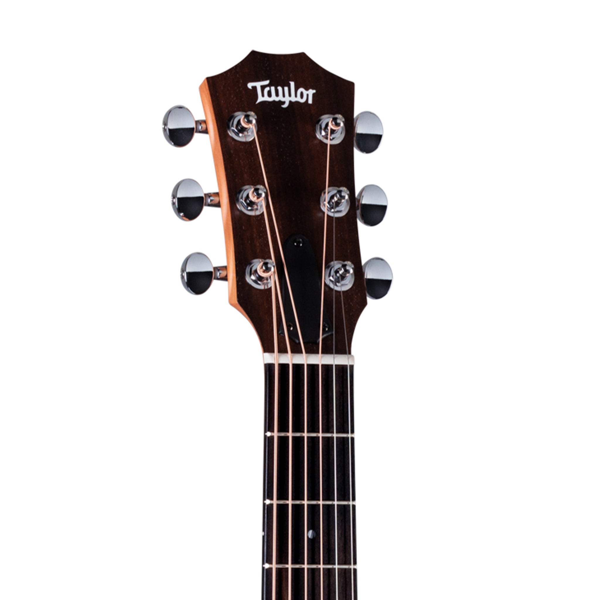 Taylor GS Mini-E Special Edition Acoustic Guitar w/Bag, Paisley Burst