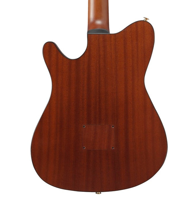 Ibanez FRH10N-BSF Classical Guitar, Brown Sunburst Flat