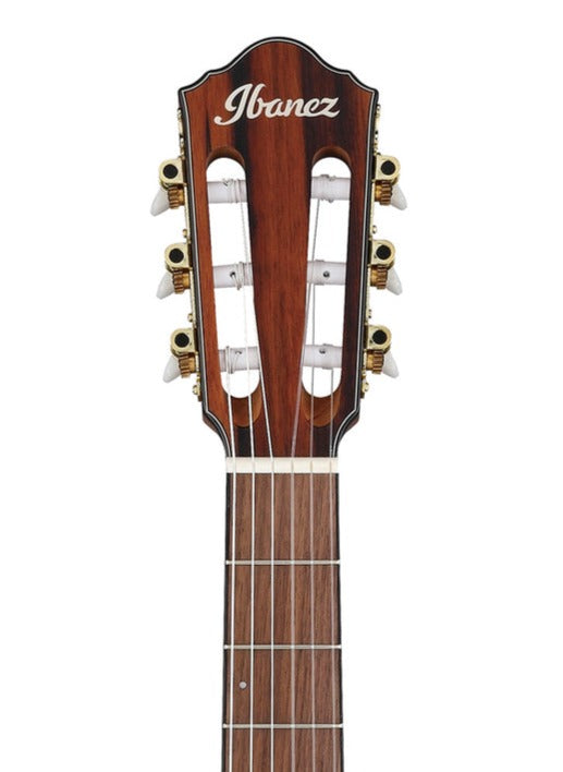 Ibanez FRH10N-BSF Classical Guitar, Brown Sunburst Flat