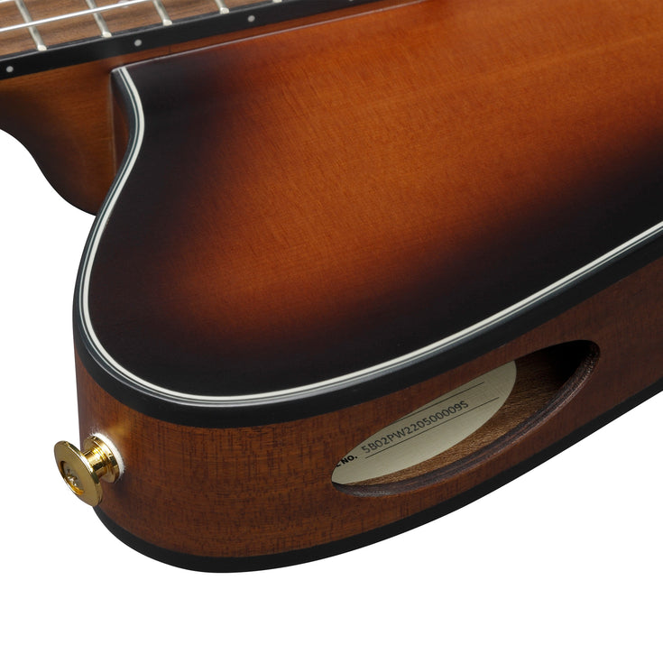 Ibanez FRH10N-BSF Classical Guitar, Brown Sunburst Flat