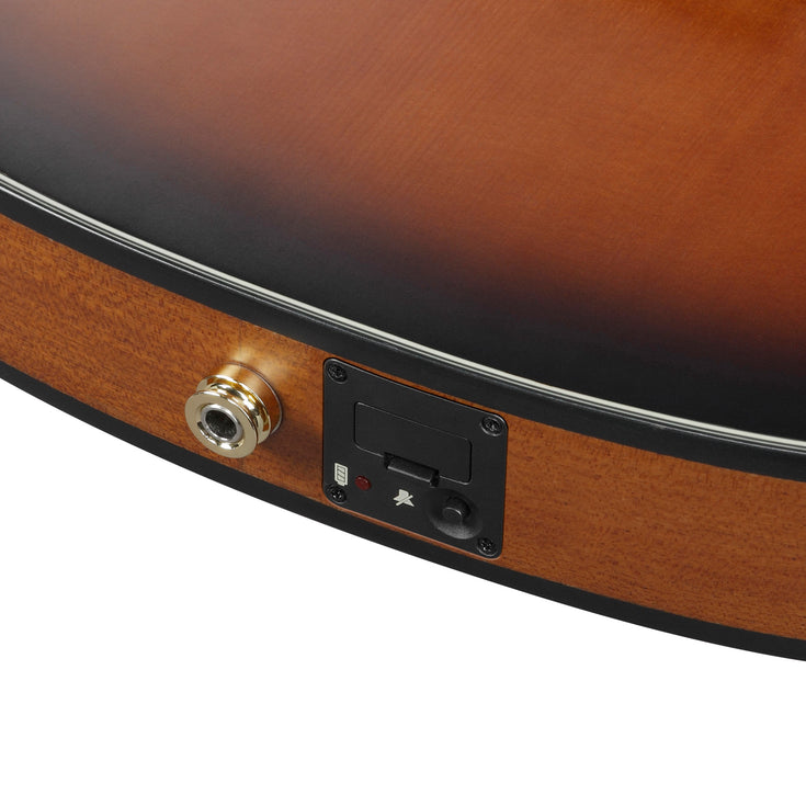 Ibanez FRH10N-BSF Classical Guitar, Brown Sunburst Flat
